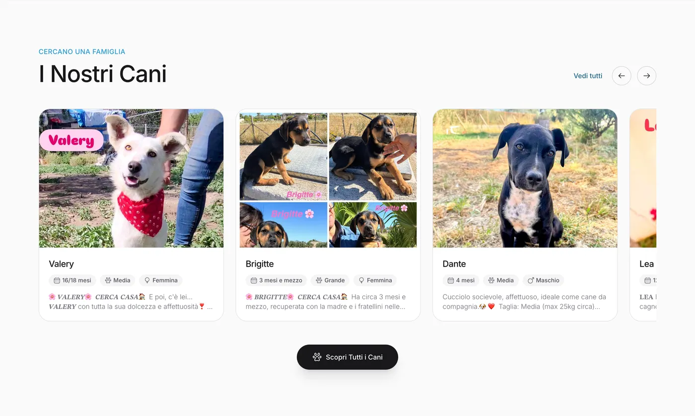 La vetrina dei cani in adozione su anpanacomiso.it: ogni cane ha la sua scheda con foto e descrizione